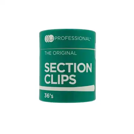 Lady Jane Section Clips Silver (36 pack) NEW PACKAGING
